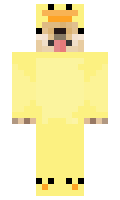 dcad0f5abd76f7 minecraft skin