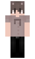ancil minecraft skin