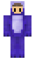 newswire minecraft skin