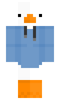DeflatedTire1492 minecraft skin