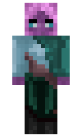 dd04504fbd684d minecraft skin
