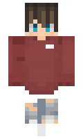 brar minecraft skin
