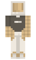 dd1c95e75baaf7 minecraft skin