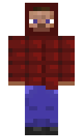 Abracadabras minecraft skin