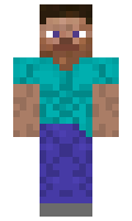 arvso minecraft skin