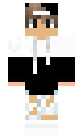 dd46840228373d minecraft skin