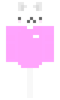 Fhwcrafter minecraft skin
