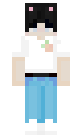 dd6cbb23cdbaef minecraft skin