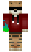 WhyVoid minecraft skin