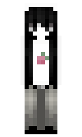 Bgx32 minecraft skin