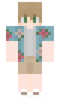 NGDPLNk minecraft skin
