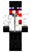 ddda05c4ed76d2 minecraft skin