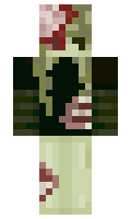 PunkShiba minecraft skin