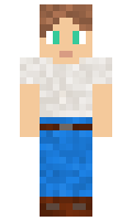 mouseman17 minecraft skin