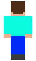 zarwin minecraft skin