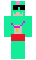 de6d293a34da22 minecraft skin