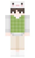 de980cf5077f8f minecraft skin