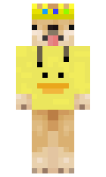 jakicookie minecraft skin