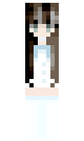 qnglsv minecraft skin