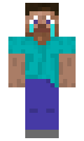 deebcf70601ada minecraft skin