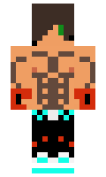 Hamidreza minecraft skin