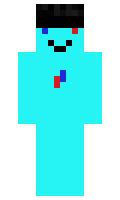 IGLnipa minecraft skin