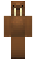 Arched minecraft skin