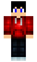 bestnewb minecraft skin