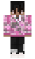 seguidor minecraft skin