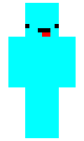 nro minecraft skin