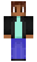 dfcacdd7df2d29 minecraft skin