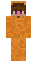 Nico27094 minecraft skin