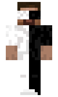 MrInconvinience minecraft skin