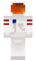 dctr minecraft skin