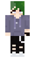 e031099d6efcca minecraft skin