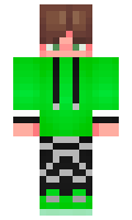 e040dc217b8fa3 minecraft skin