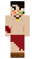 Wardein minecraft skin