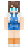 e091f49729d0d7 minecraft skin
