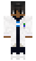 FDGames6411BR minecraft skin