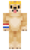 DoggyGameNL minecraft skin