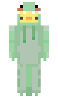 Concelare minecraft skin