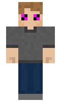 sektret minecraft skin