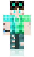 NYW minecraft skin