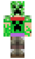 e100a2457e0a84 minecraft skin