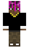 lilvert minecraft skin