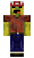 e118d87ae3c907 minecraft skin