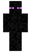teraxyl minecraft skin