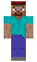 e128146afc1210 minecraft skin