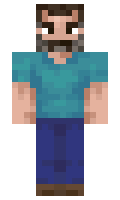GaVa minecraft skin