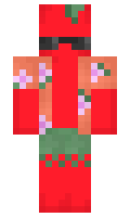appljuice minecraft skin